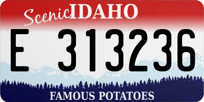 ID license plate E313236