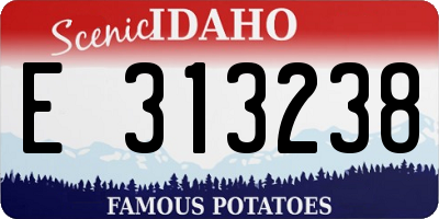 ID license plate E313238