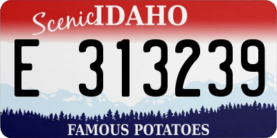 ID license plate E313239