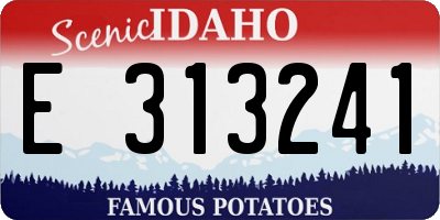 ID license plate E313241