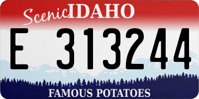 ID license plate E313244