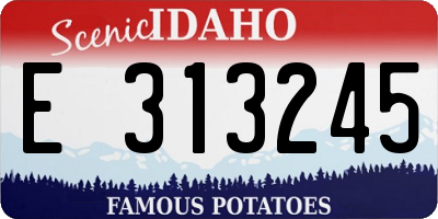 ID license plate E313245