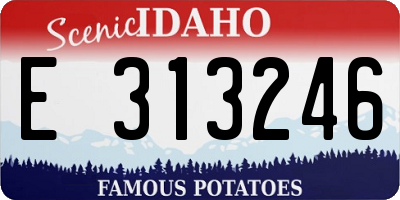 ID license plate E313246