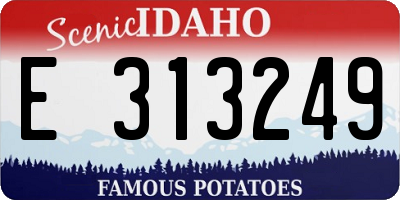 ID license plate E313249