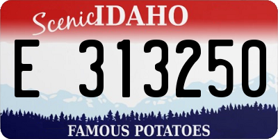 ID license plate E313250