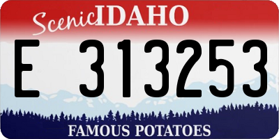ID license plate E313253