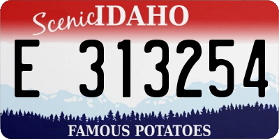 ID license plate E313254