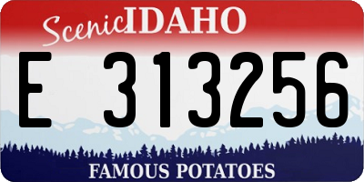 ID license plate E313256
