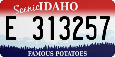 ID license plate E313257