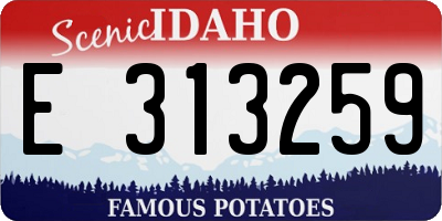 ID license plate E313259
