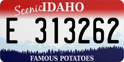 ID license plate E313262