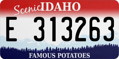 ID license plate E313263