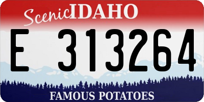 ID license plate E313264