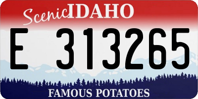 ID license plate E313265