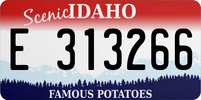 ID license plate E313266