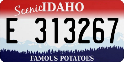 ID license plate E313267