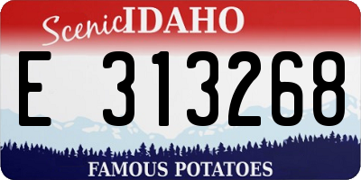 ID license plate E313268