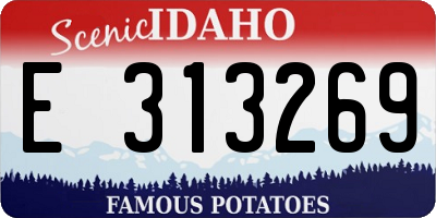 ID license plate E313269