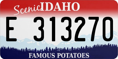 ID license plate E313270