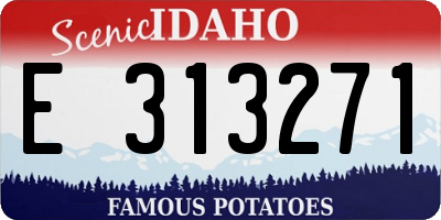 ID license plate E313271
