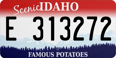 ID license plate E313272