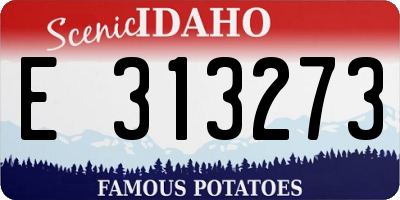 ID license plate E313273