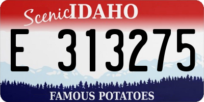 ID license plate E313275