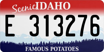 ID license plate E313276