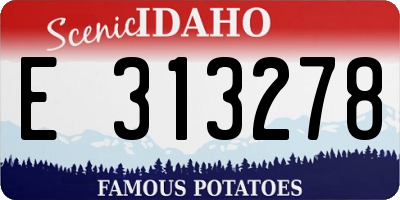 ID license plate E313278