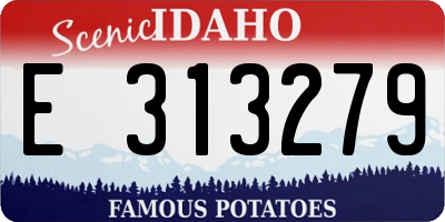 ID license plate E313279