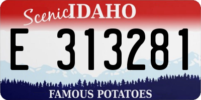 ID license plate E313281