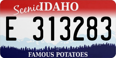 ID license plate E313283