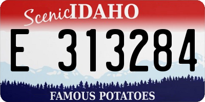 ID license plate E313284