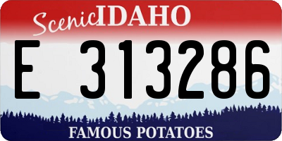 ID license plate E313286