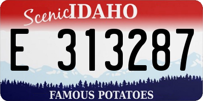 ID license plate E313287