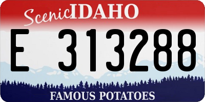ID license plate E313288