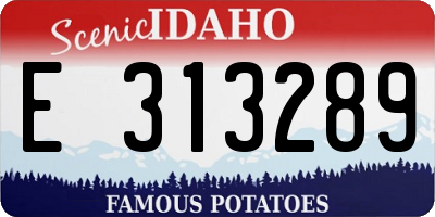 ID license plate E313289