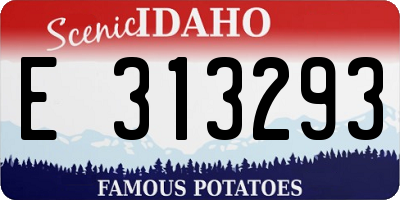 ID license plate E313293