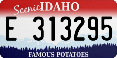 ID license plate E313295