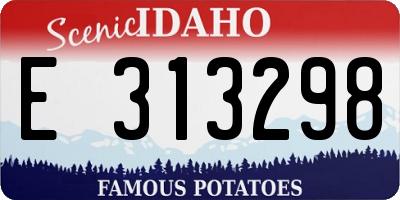 ID license plate E313298
