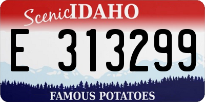 ID license plate E313299