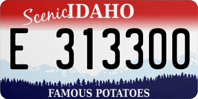 ID license plate E313300