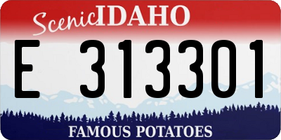 ID license plate E313301