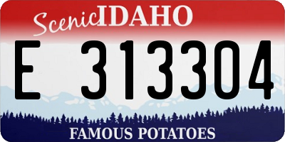 ID license plate E313304