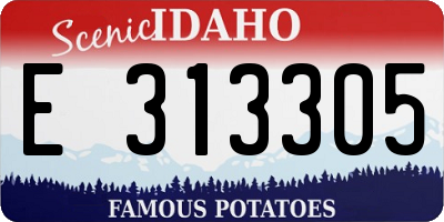 ID license plate E313305