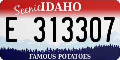 ID license plate E313307