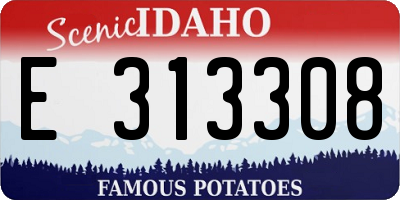 ID license plate E313308