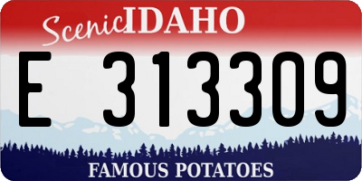 ID license plate E313309