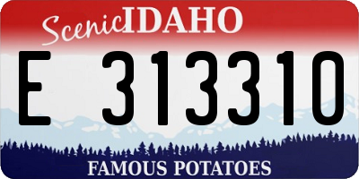 ID license plate E313310