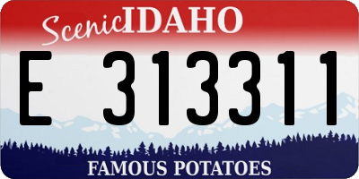 ID license plate E313311